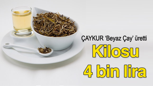 Beyaz çayın kilosu tam 4 bin lira