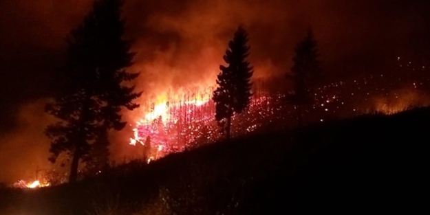 Trabzon'da 22 ayrı noktada orman yangını!